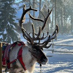 Finnland